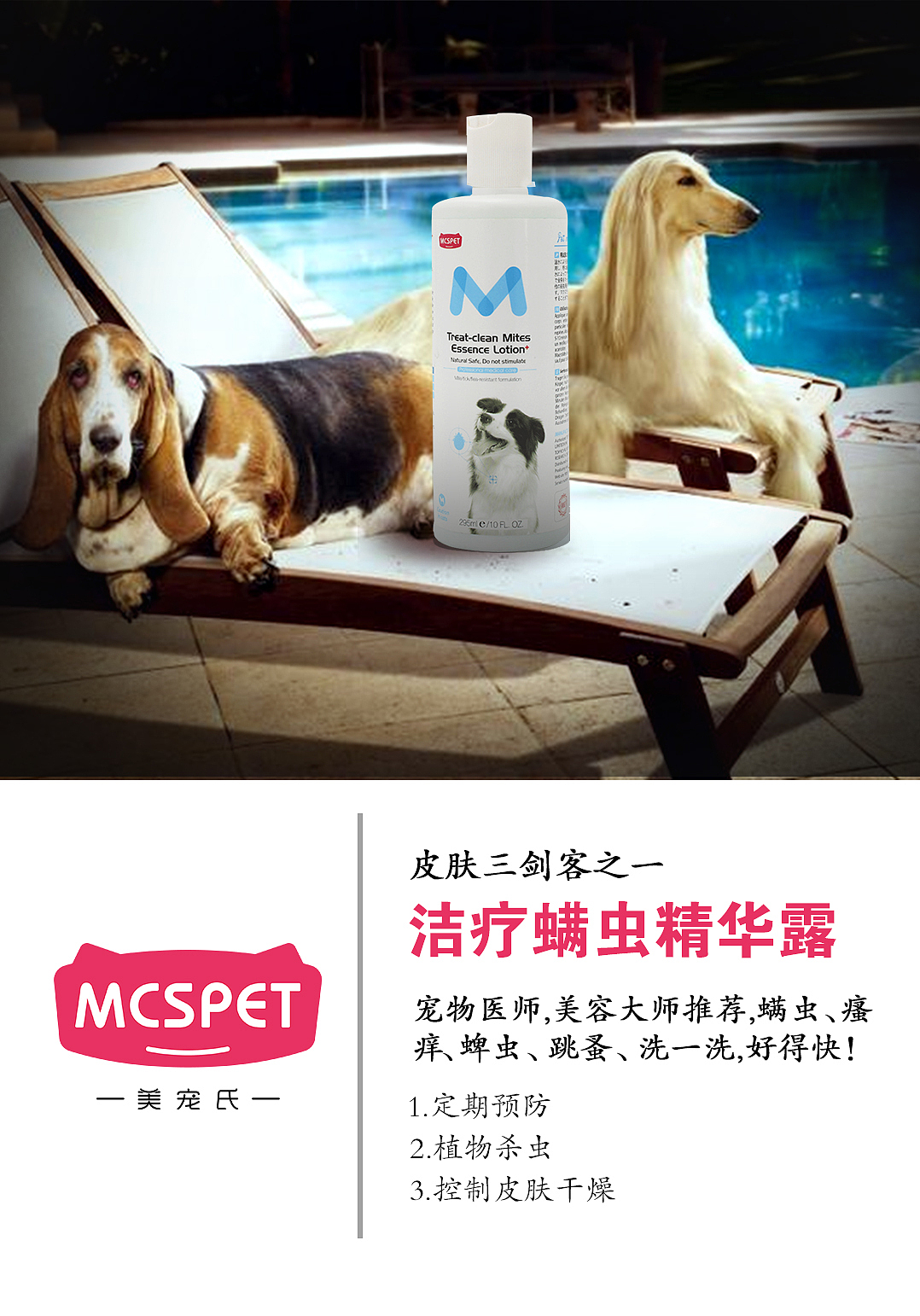 海报（图ZMTYzNjA2NjA0） - 宣传物料 - 站酷设计师浅浅的小酒窝原创素材 - 站酷ZCOOL