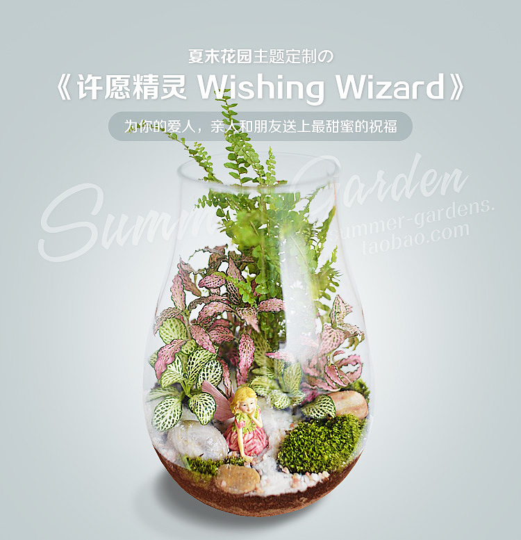 绿植手作--夏末时分许愿精灵--《夏末花园成长日记29》（图ZMzI2MTUyNDg=） - 其他手工艺 - 站酷设计师zxsummer原创素材 - 站酷ZCOOL