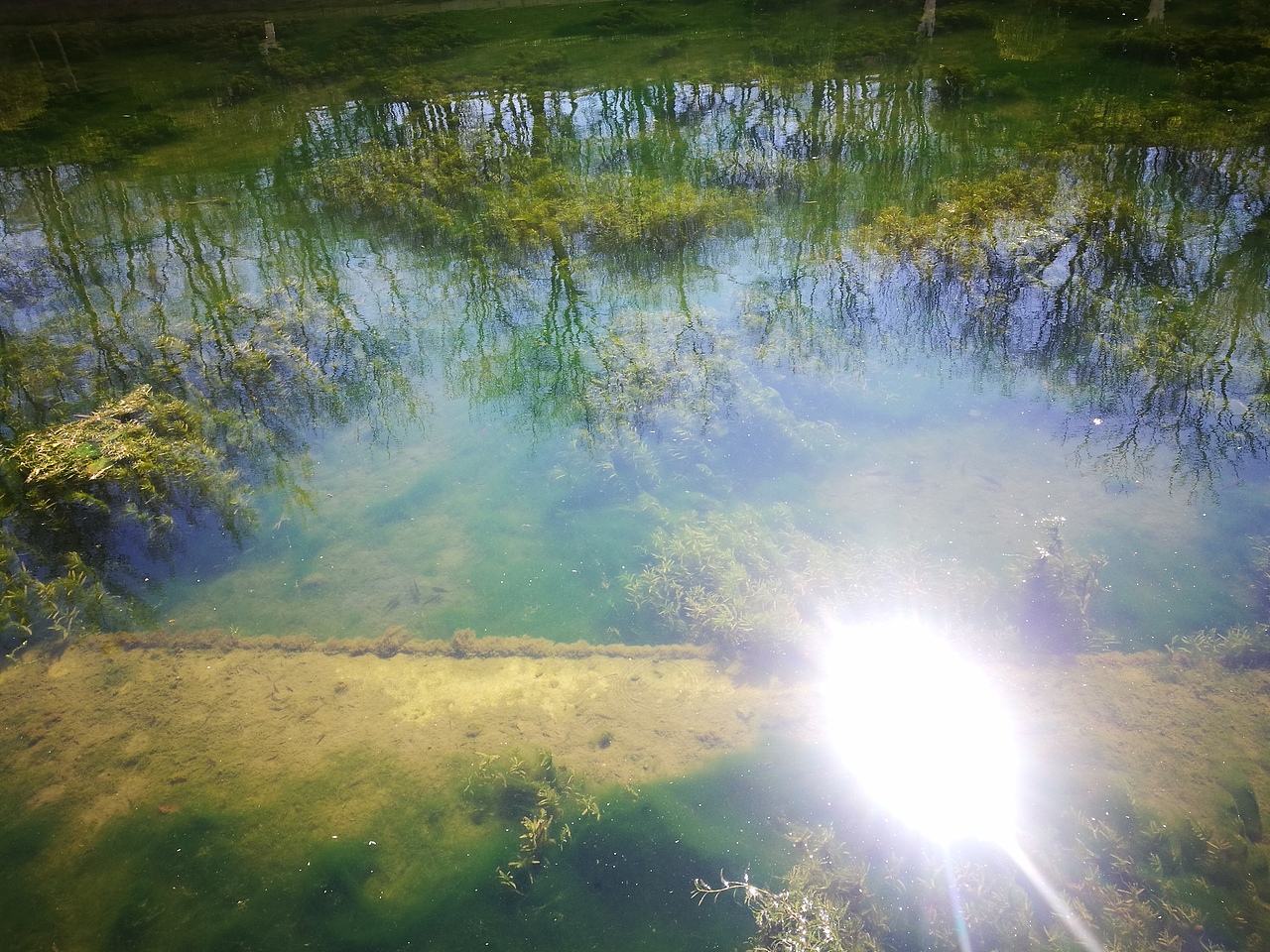 春暖花开2（图ZMTUxMDAyNDk2） - 风光摄影 - 站酷设计师CearyQi原创素材 - 站酷ZCOOL