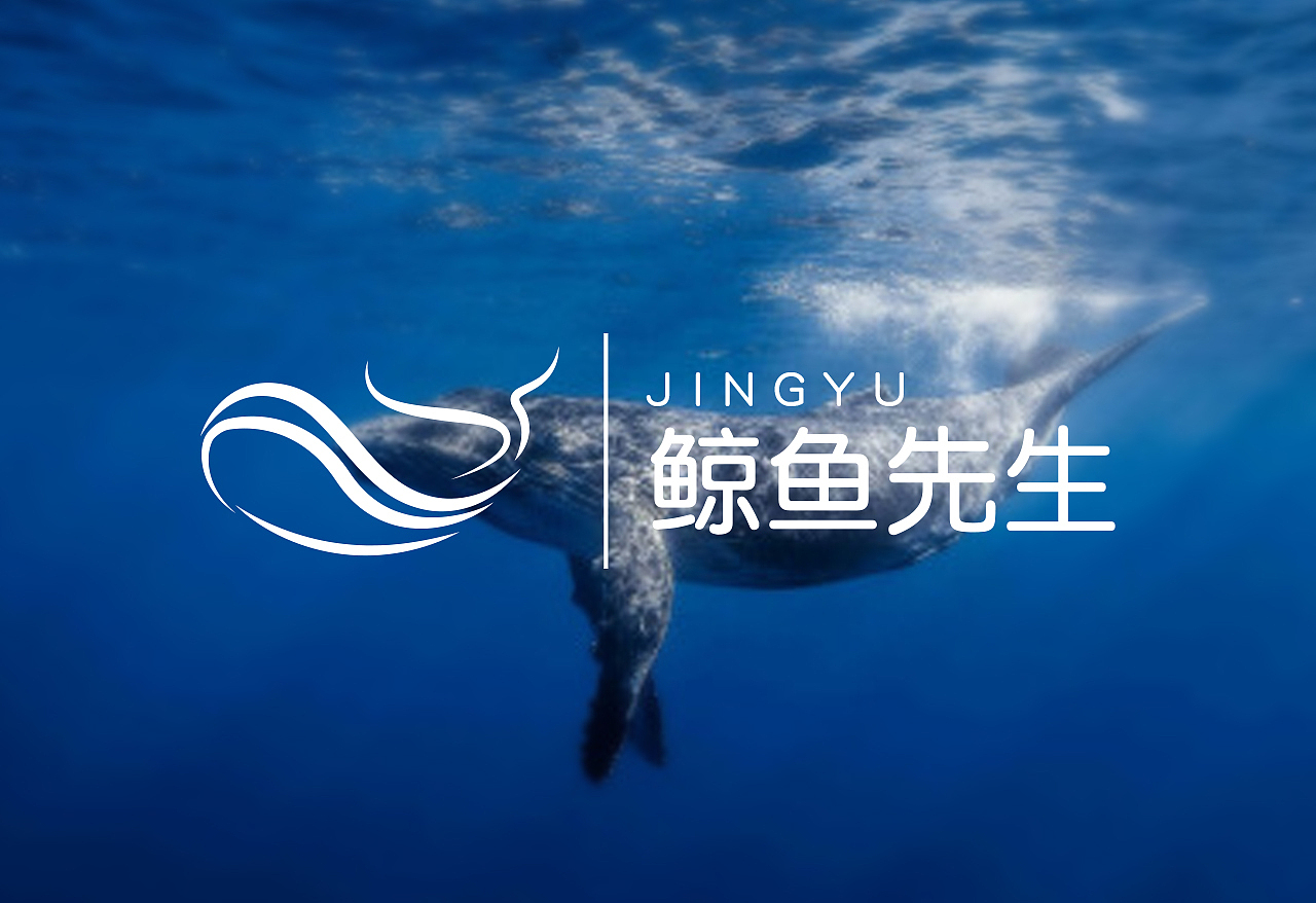 logo集合01|平面|logo|小高先生mr_临摹作品-站酷zcool