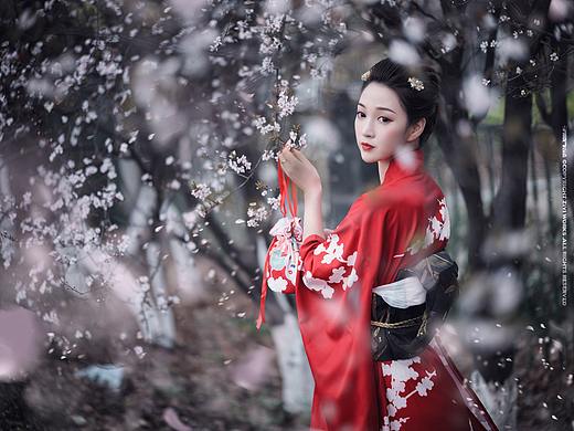 《樱花雨季》