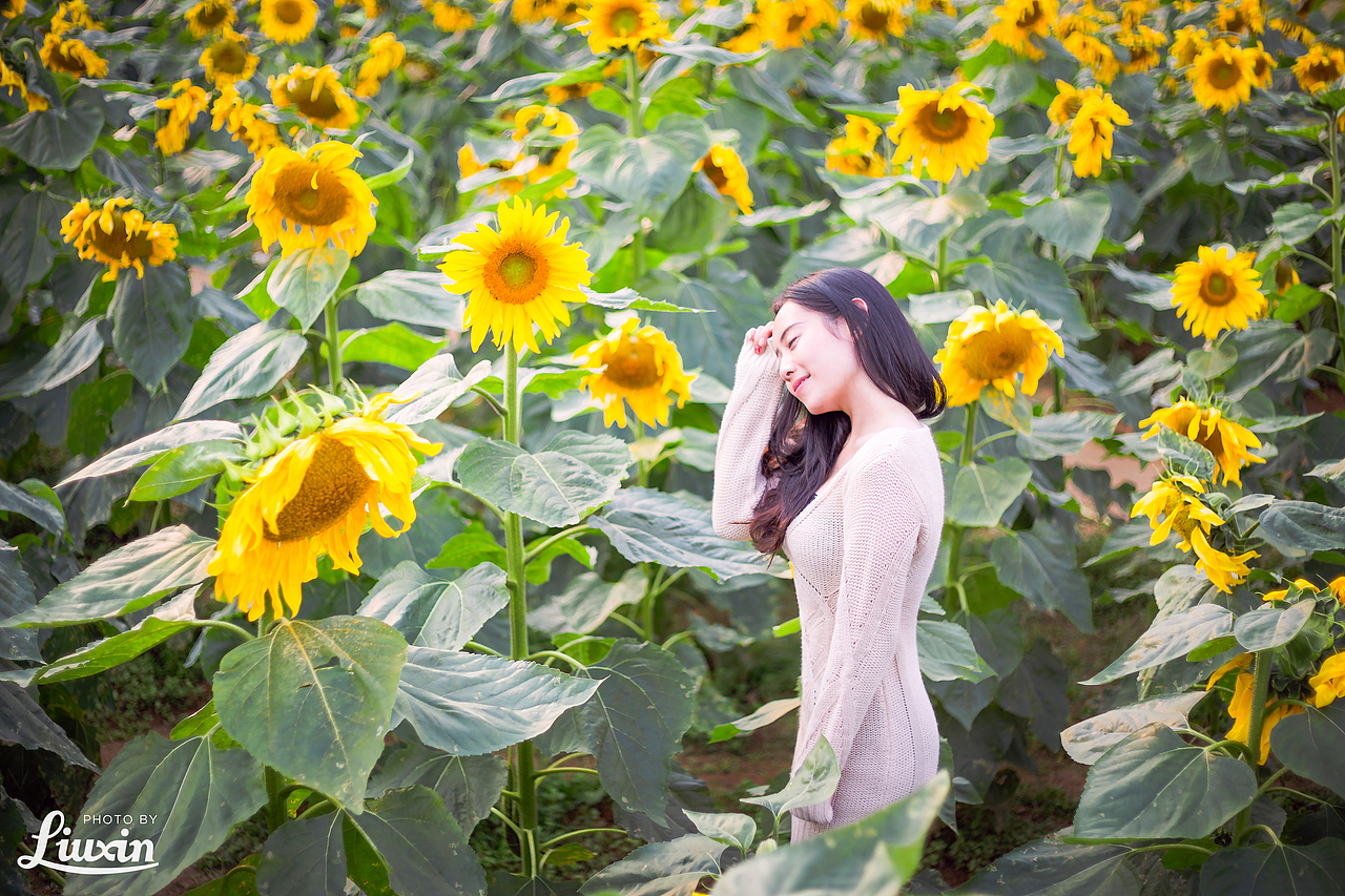 向日葵の花季（图ZMjU2MTUyODQ=） - 人像摄影 - 站酷设计师浮沉流星原创素材 - 站酷ZCOOL