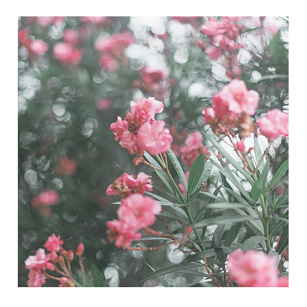 【日系生活】（图ZMTE2NTE3OTQ4） - 产品摄影 - 站酷设计师COLA可乐哟原创素材 - 站酷ZCOOL