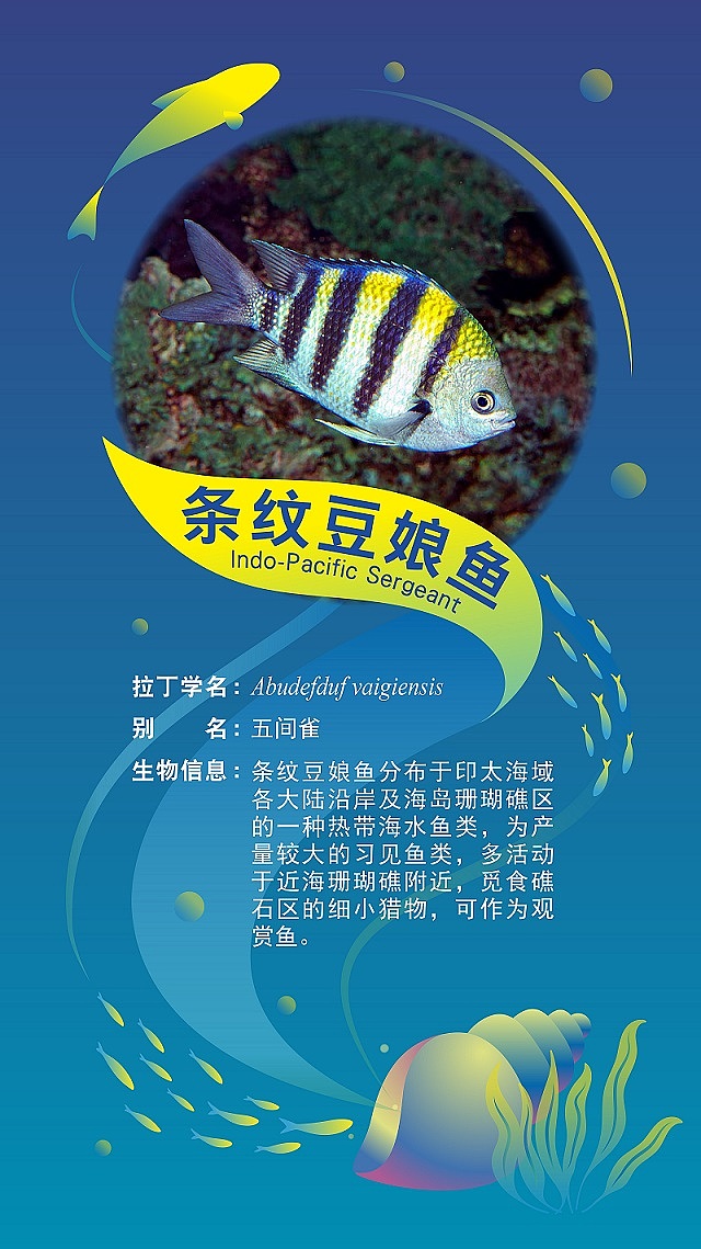 海底世界---生物展示灯箱片