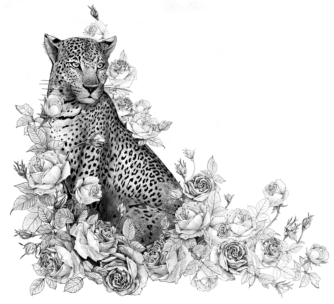 豹子狮子插画（图ZMTc5MTAwNzQ4） - 商业插画 - 站酷设计师路Alita原创素材 - 站酷ZCOOL