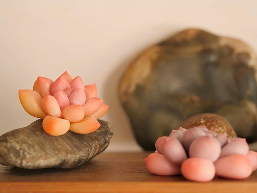 树脂粘土仿真多肉