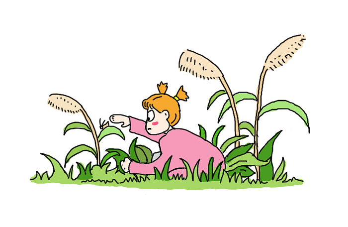 想起我的童年,是在扑蚂蚱捉虫子度过