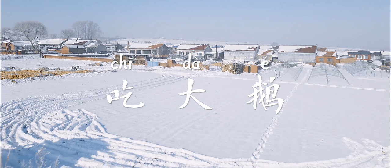 连夜奔袭200多公里只为雪后的铁锅炖大鹅，香！（图ZMjM0NTUyMDgw） - 短片 - 站酷设计师拾光摄记师原创素材 - 站酷ZCOOL