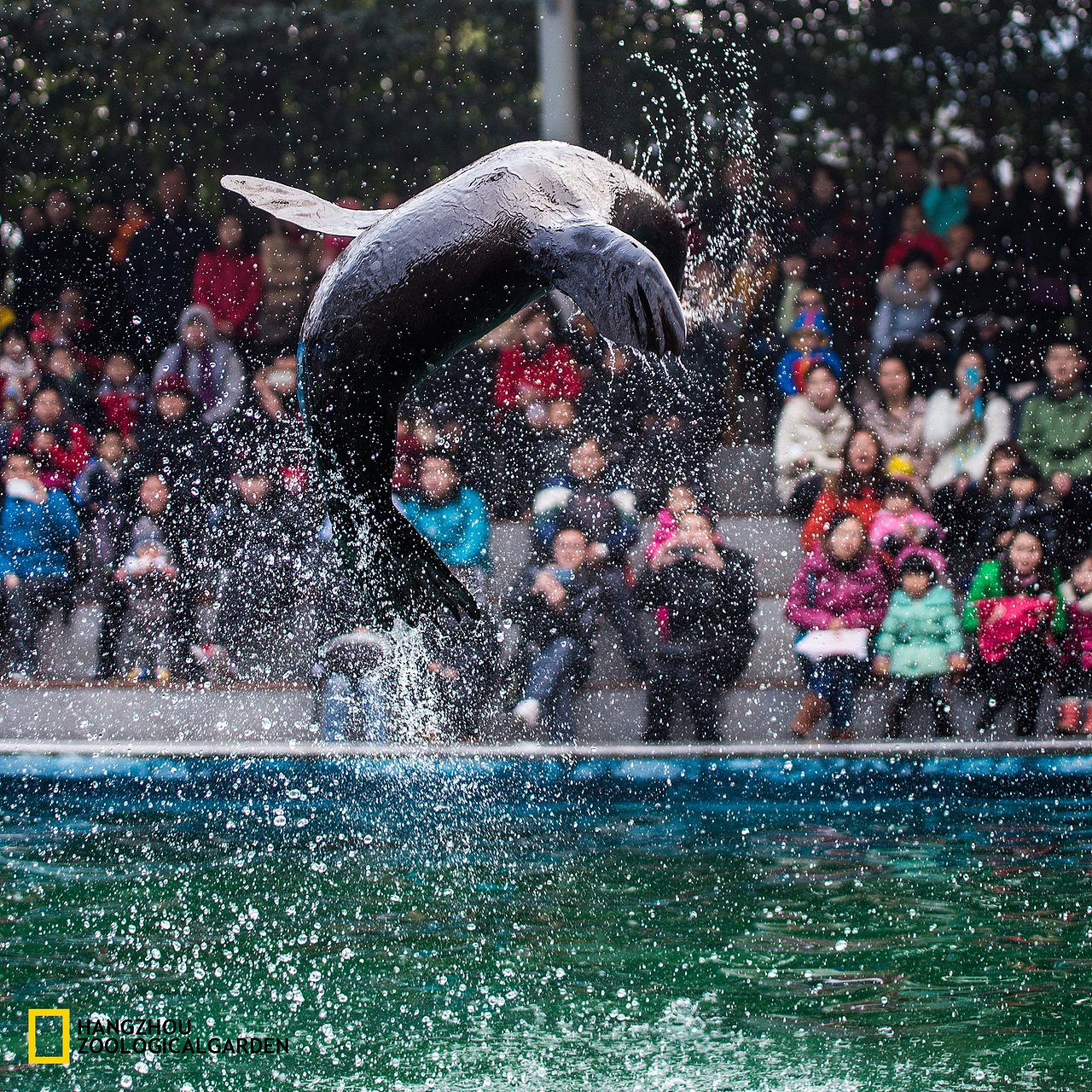 冬日野兽派 —— 杭州动物园侧写