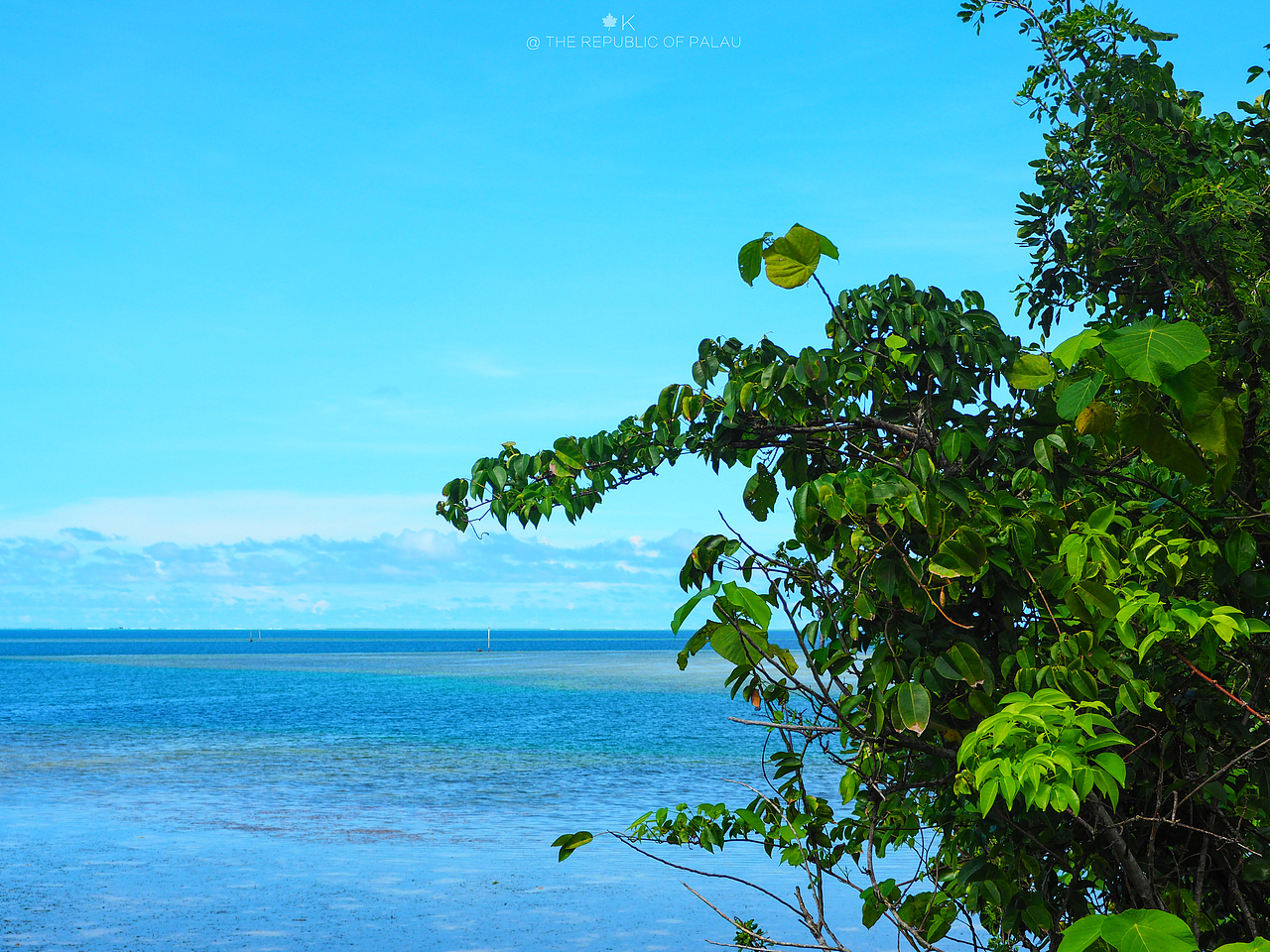 帕劳共和国旅拍
