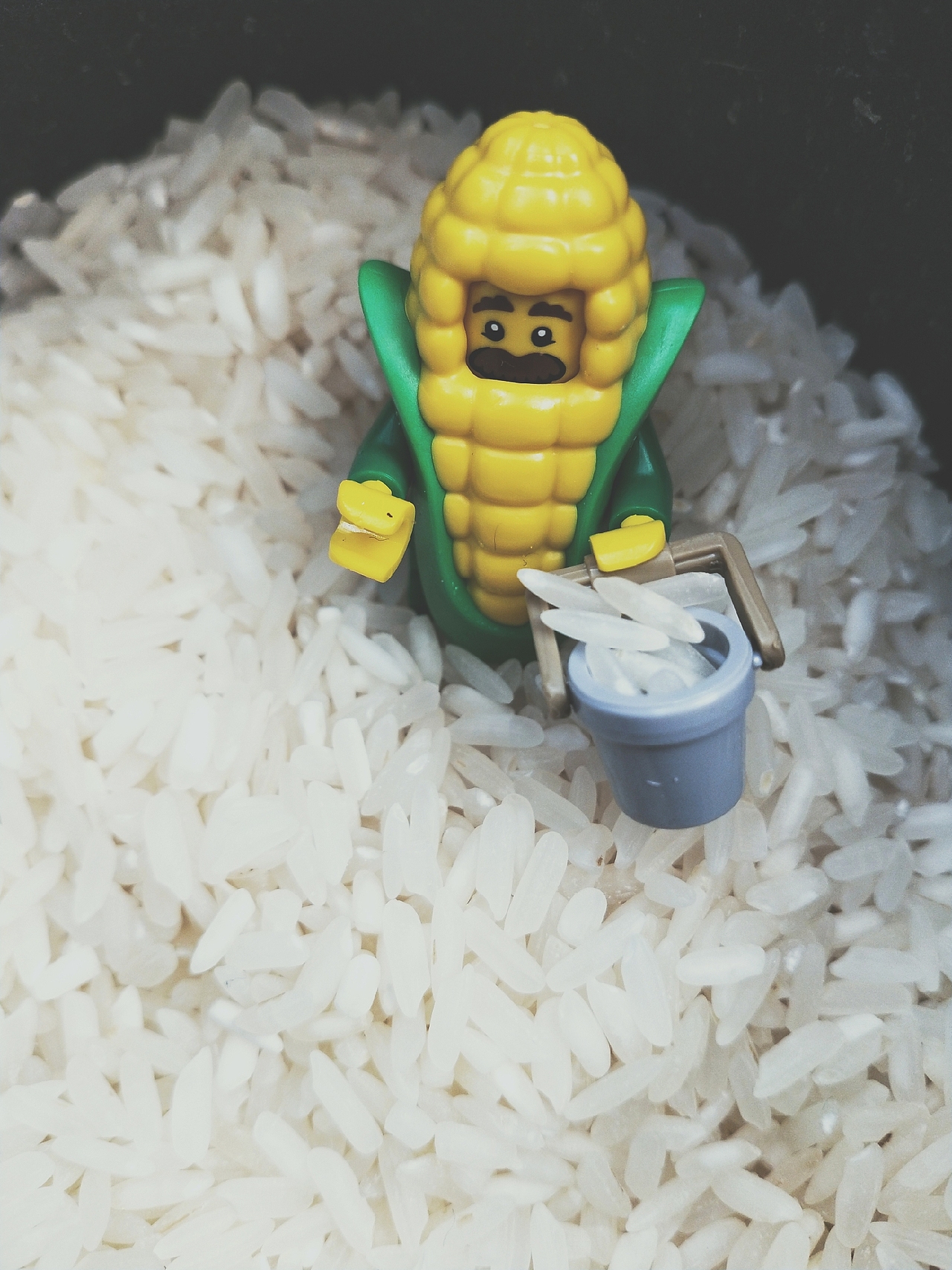 樂高之蔬菜大冒險（圖ZMTQxMDUwODgw） - 其他攝影 - 站酷設(shè)計師拍拍拍的旺仔醬原創(chuàng)素材 - 站酷ZCOOL