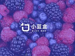 小蓝盒品牌设计