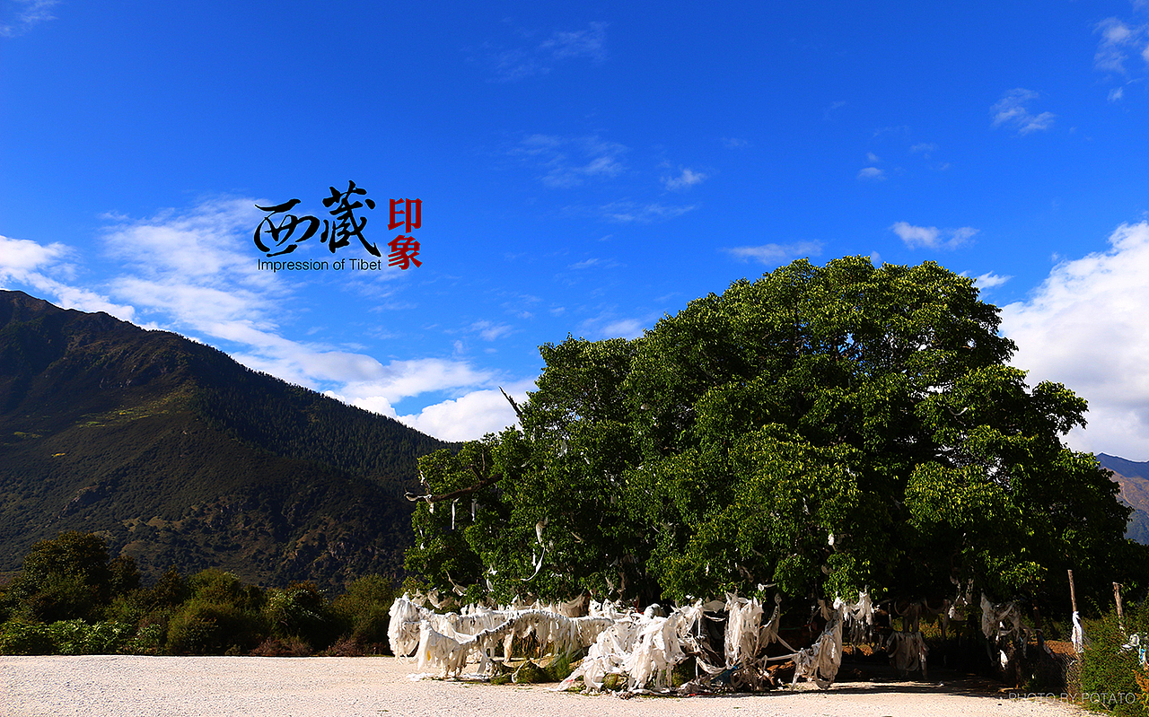 【旅途乱拍】西藏印象一（图ZNDE2OTkxNjA=） - 风光摄影 - 站酷设计师Mr_Potato原创素材 - 站酷ZCOOL