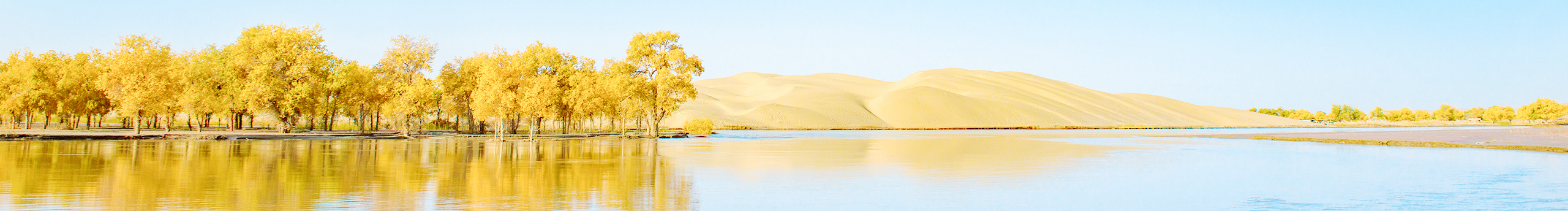 kading的個人主頁（封面預(yù)覽） - 主頁封面設(shè)置 - 站酷設(shè)計師kading原創(chuàng)素材 - 站酷ZCOOL