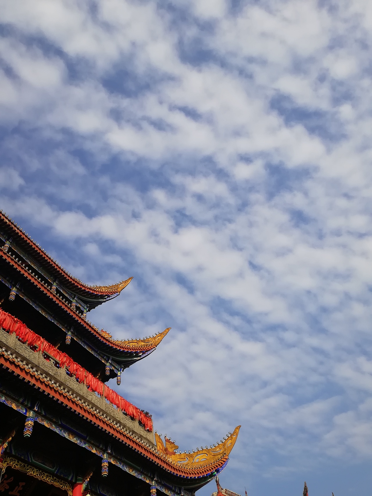 行走的趣图,手机拍摄