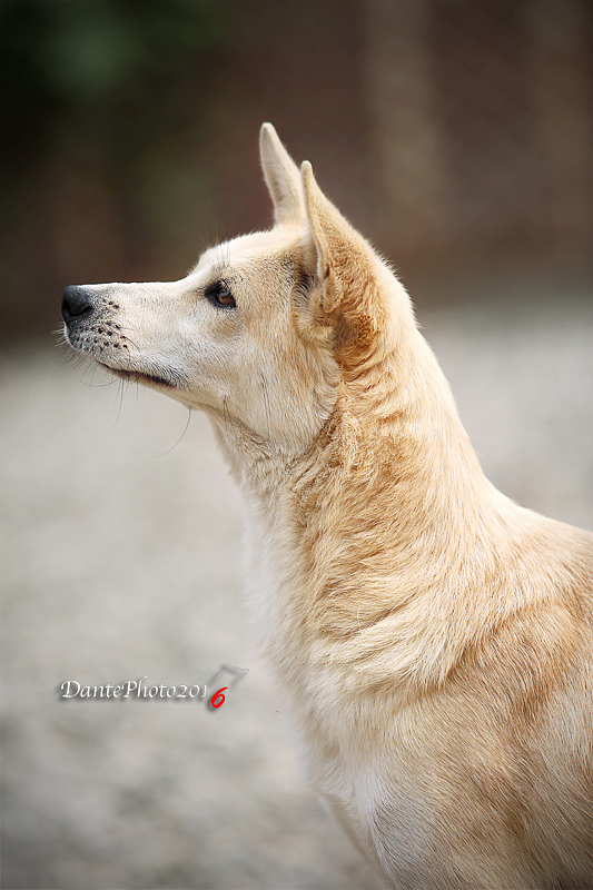 被救助的孩子们