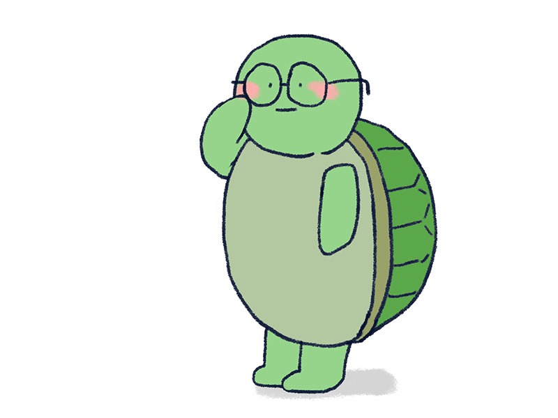 小乌龟戴眼镜