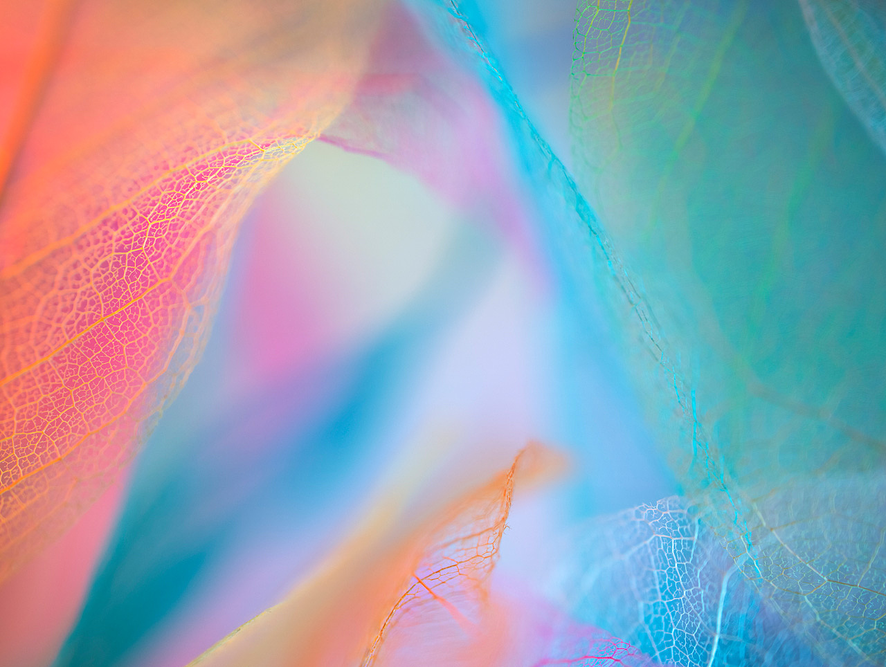 绽影像之《撕雾》（图ZMjU1MjEzNzQw） - 时尚/艺术摄影 - 站酷设计师陈绽原创素材 - 站酷ZCOOL