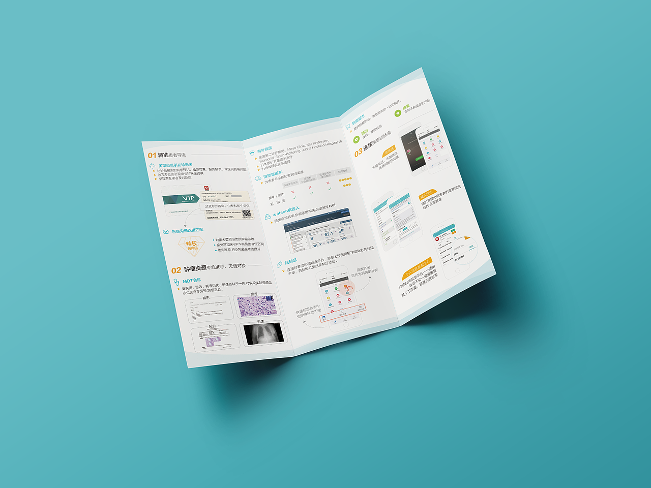 【平面设计】-三折页