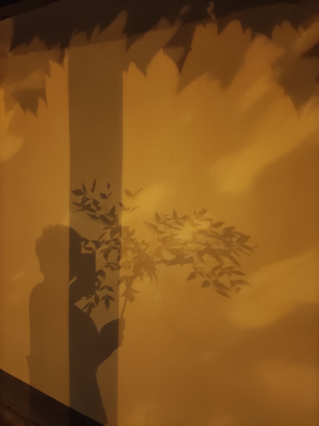 手机摄影6（图ZMjQyMDQyMjUy） - 产品摄影 - 站酷设计师191436255原创素材 - 站酷ZCOOL