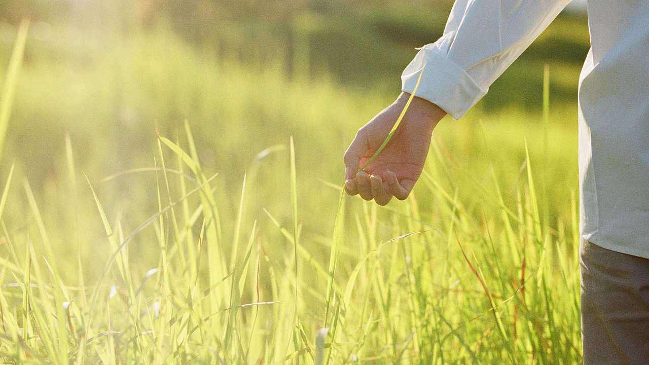 秋尋（圖ZMjI1MDA2ODg0） - 人像攝影 - 站酷設(shè)計(jì)師長(zhǎng)腿老頭Art原創(chuàng)素材 - 站酷ZCOOL