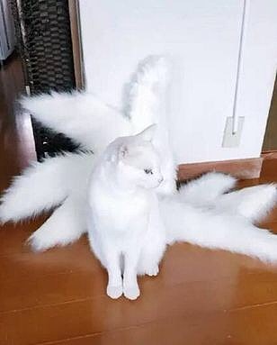 车险意外险6 平安车险意外险要买吗