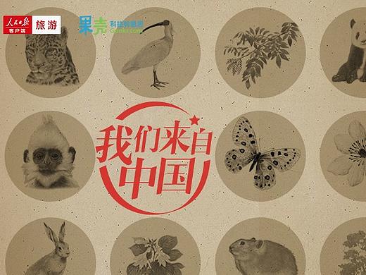 我们来自中国