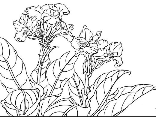 线描练习（个人主页-ZNTY4MTQ2NjQ=） - 创作习作 - 站酷设计师Sunset_about原创素材 - 站酷ZCOOL