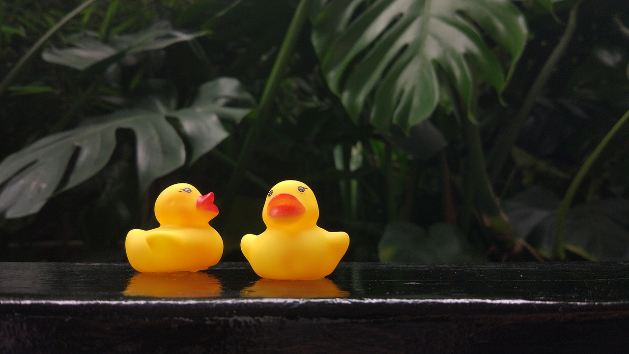 我拿起了小米5，翻开了里面的相册·····（图ZMjEzNjUxNDA0） - 人文/纪实摄影 - 站酷设计师VegooSun原创素材 - 站酷ZCOOL