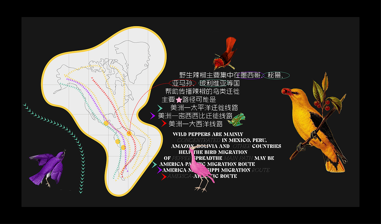 辣椒和鸟和故事
