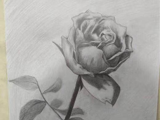 素描作品（个人主页-ZNDQ4MjQ2MzY=） - 绘画 - 站酷设计师全栈设计师_卢路原创素材 - 站酷ZCOOL