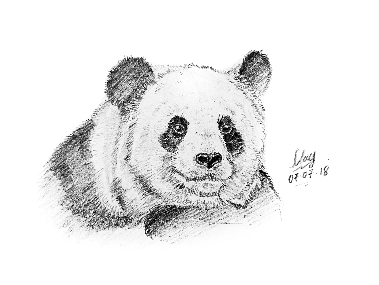 手绘素描 - 动物系列（图ZMTUzNzEwMDEy） - 绘画 - 站酷设计师OCMAY原创素材 - 站酷ZCOOL