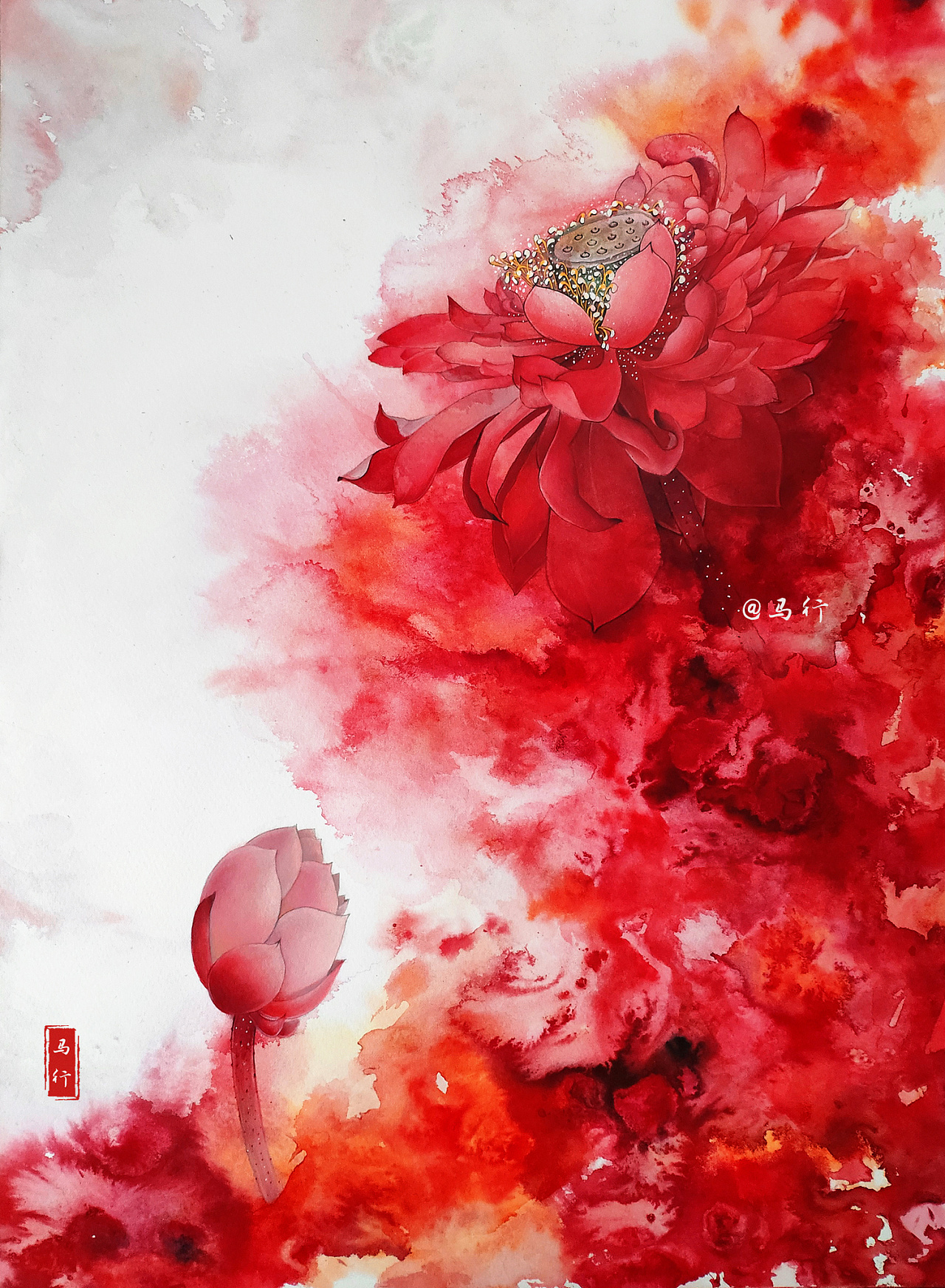 水彩荷花|纯艺术|绘画|马行画彩铅 - 原创作品 - 站酷 (zcool)