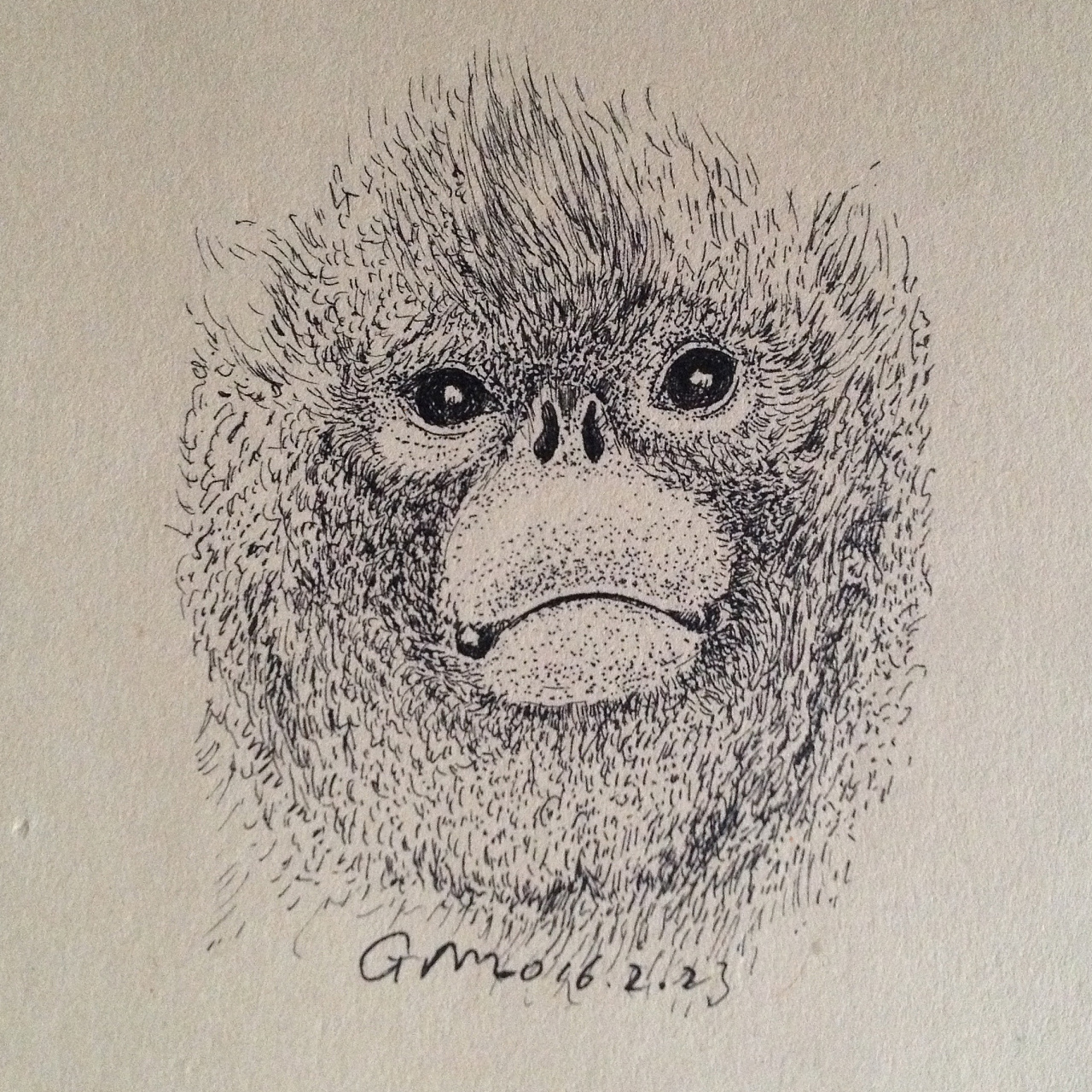 荐原创-插画-创作习作iceblueday,署名-非商业性使用-禁止演绎金丝猴