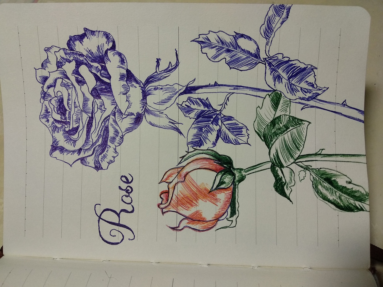 图案|纯艺术|绘画|凡凡凡凡来丷 - 原创作品 - 站酷 (zcool)