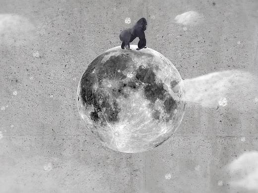 《猿始人》MG角色动画