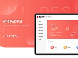 一款关于银行平台业务 ipad平板 UI界面设计