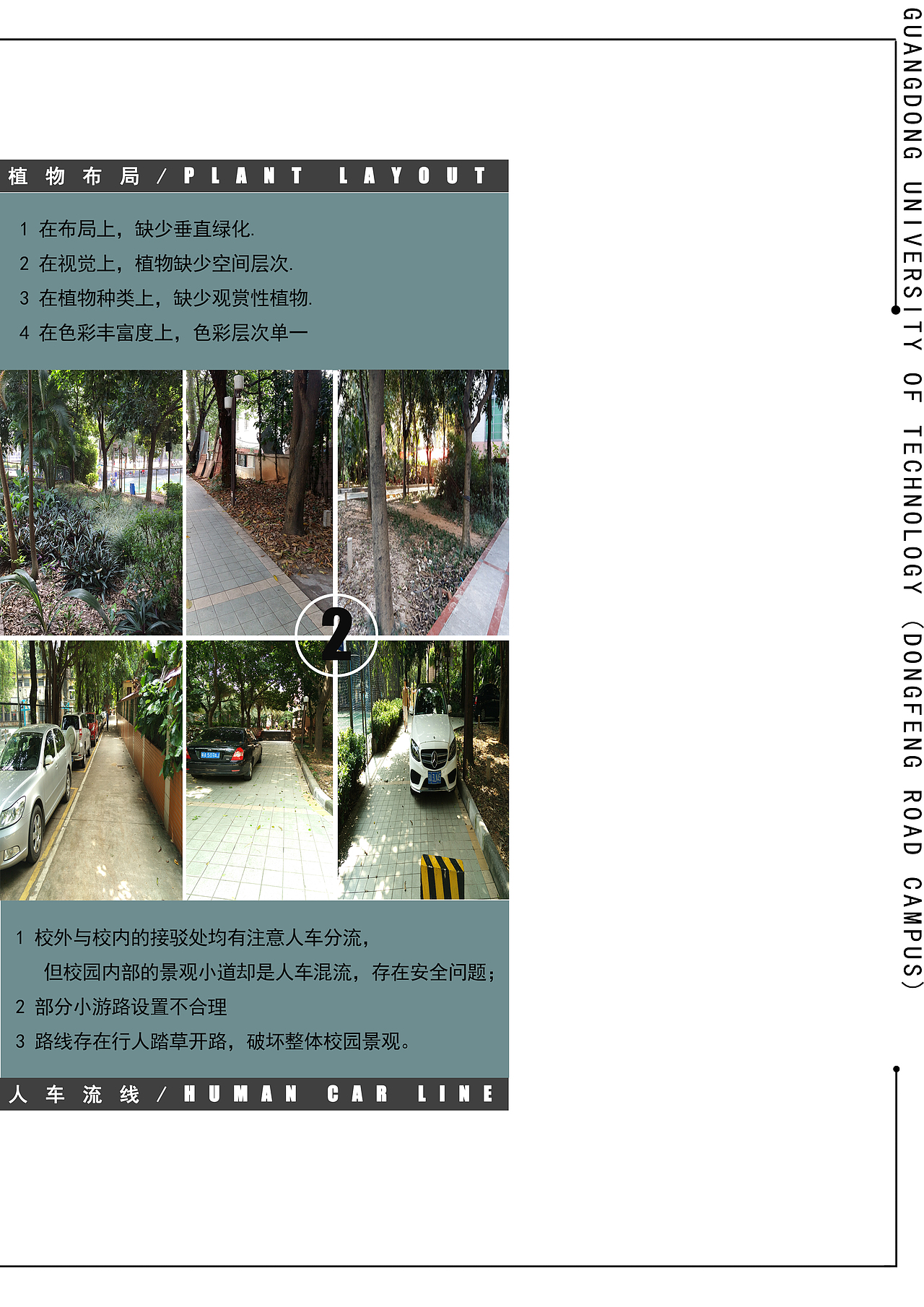 校园植物【作业】（图ZNTQ5MzA4Mjg=） - 景观设计 - 站酷设计师绒化的冰淇淋原创素材 - 站酷ZCOOL