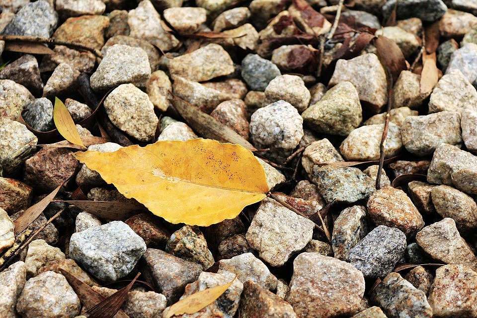 周末小走（圖ZMTY1NzE4NTY=） - 風光攝影 - 站酷設(shè)計師WL5900原創(chuàng)素材 - 站酷ZCOOL