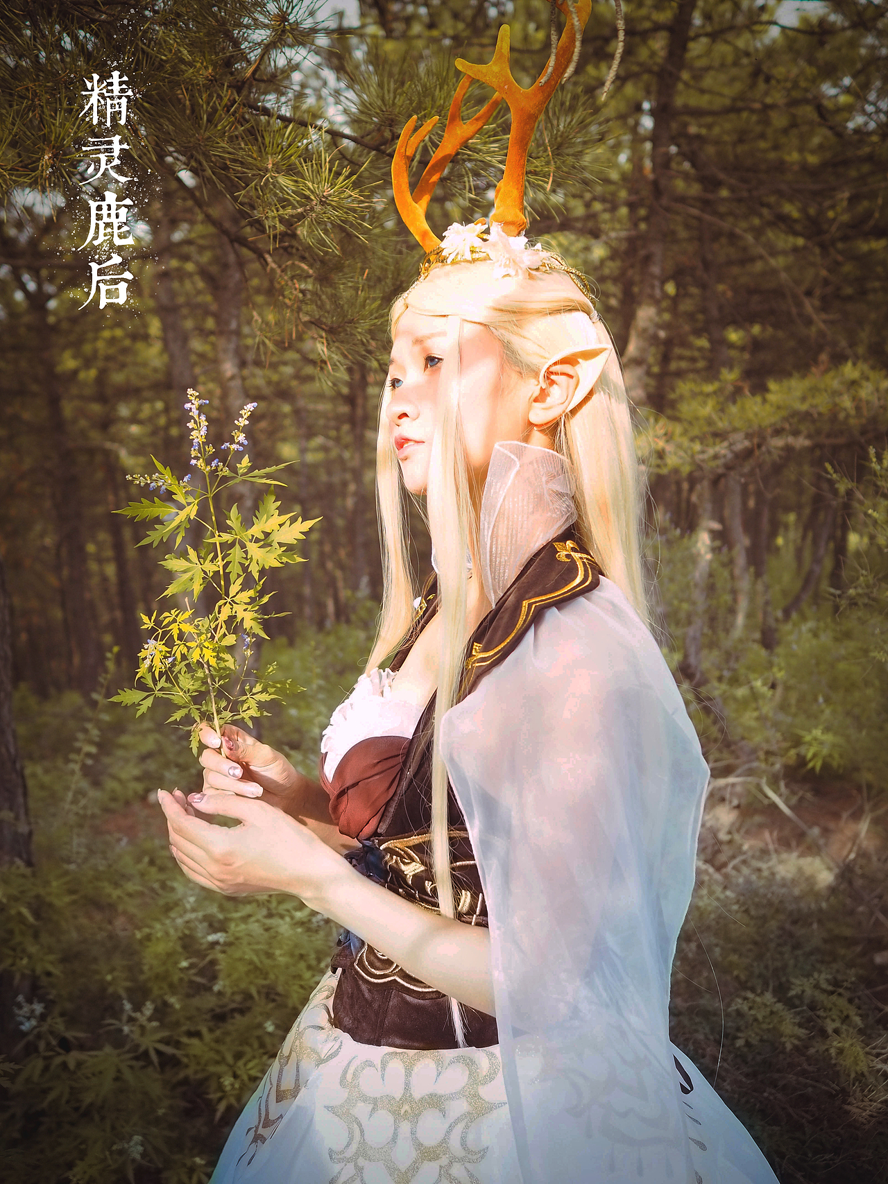 摄影襄子老粗布 店铺装修襄子全棉宅品 文化活动海报设计圣唐装饰公仔