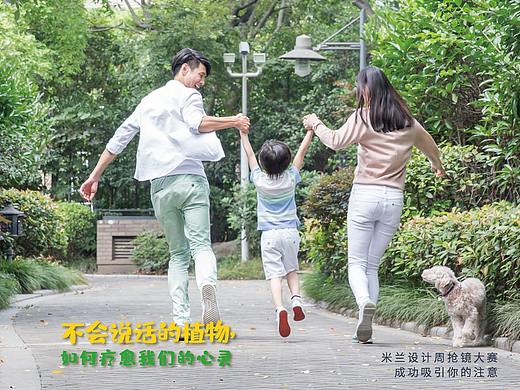 杂志