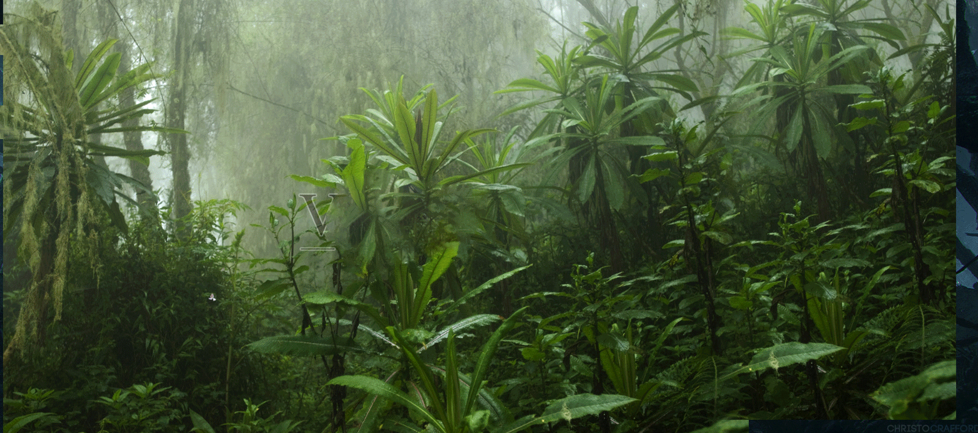 合成海报~~~~（图ZMTg3NzU4NzEy） - 海报 - 站酷设计师shenya_yiyi原创素材 - 站酷ZCOOL