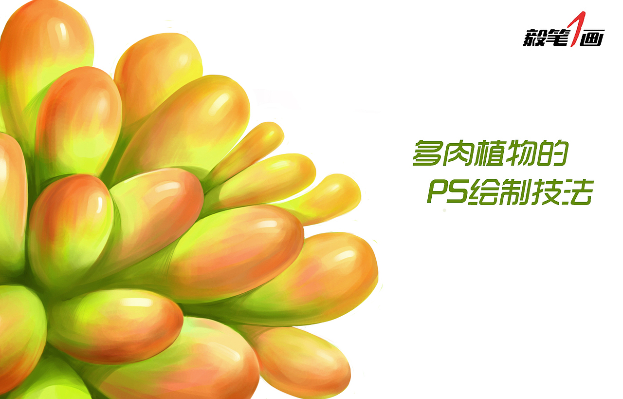 【毅笔一画】多肉PS技法篇（图ZOTA0MzA2MDg=） - 艺术插画 - 站酷设计师秦毅策画原创素材 - 站酷ZCOOL