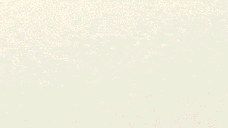C4D植物生长动画（图ZMTE0MTE2NDcy） - 其他三维 - 站酷设计师memoryxf_原创素材 - 站酷ZCOOL