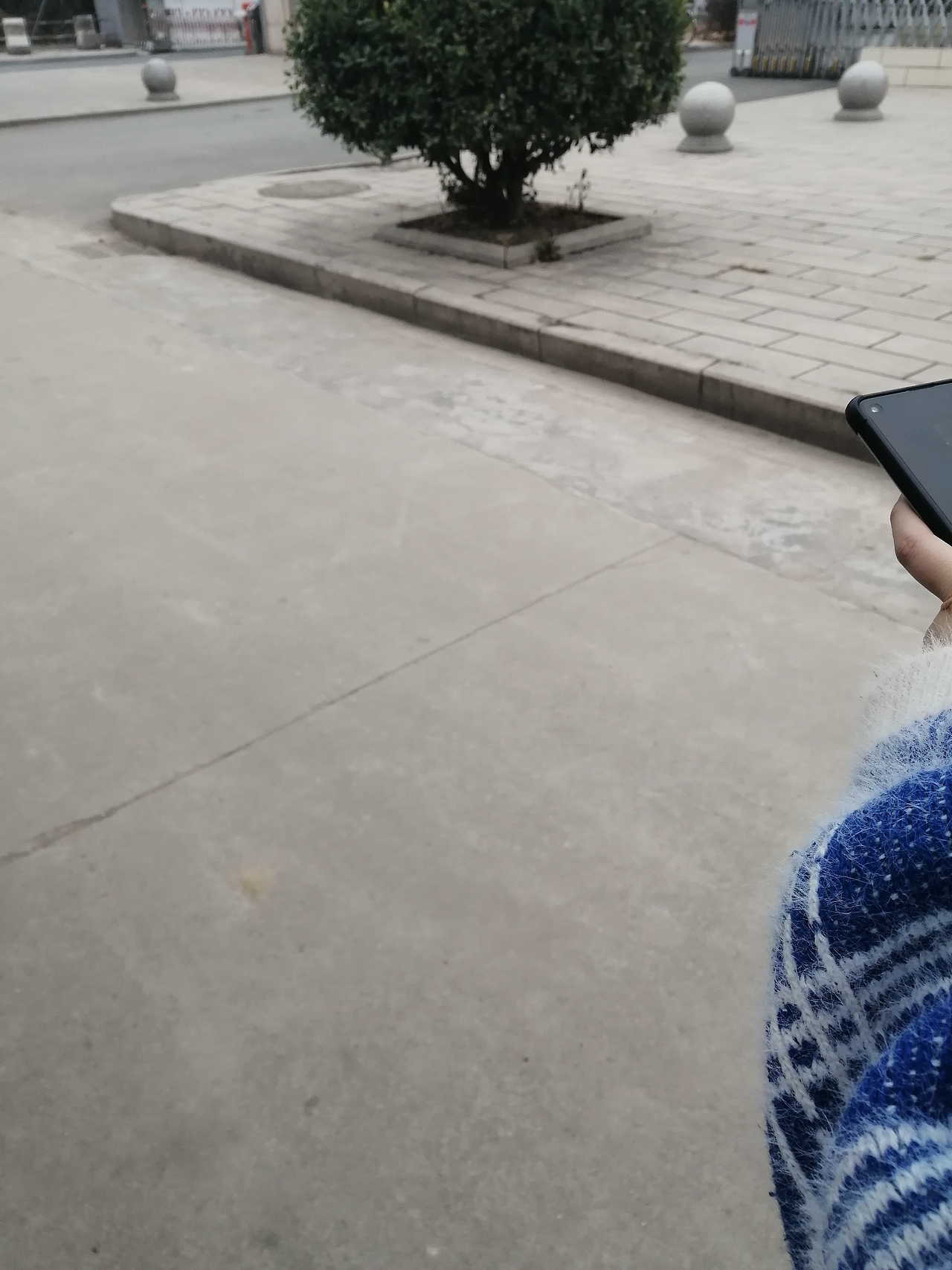 境源己造,相由心生