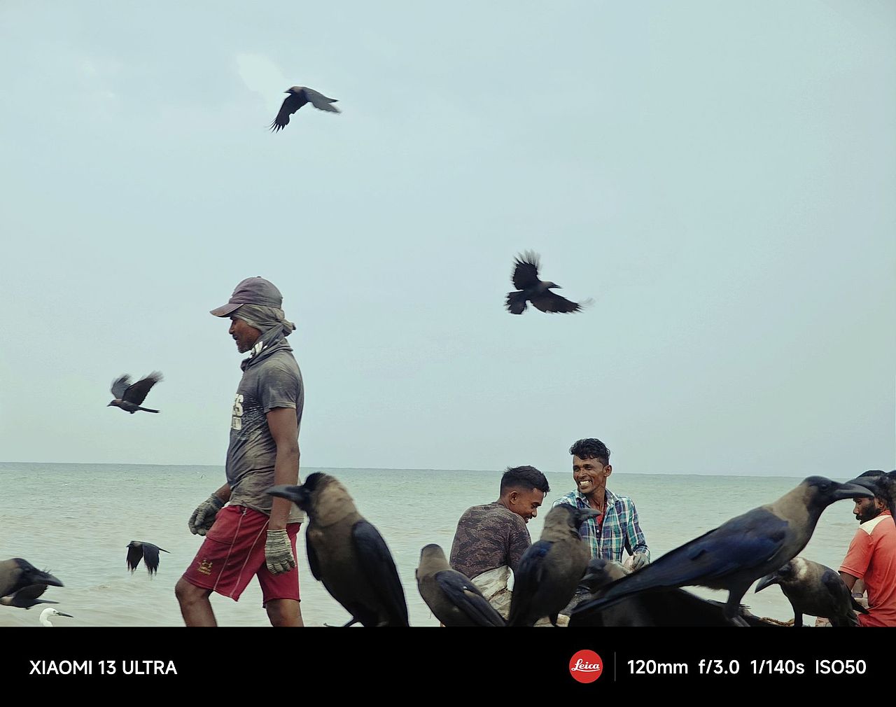 斯里兰卡纪实瞬间影像