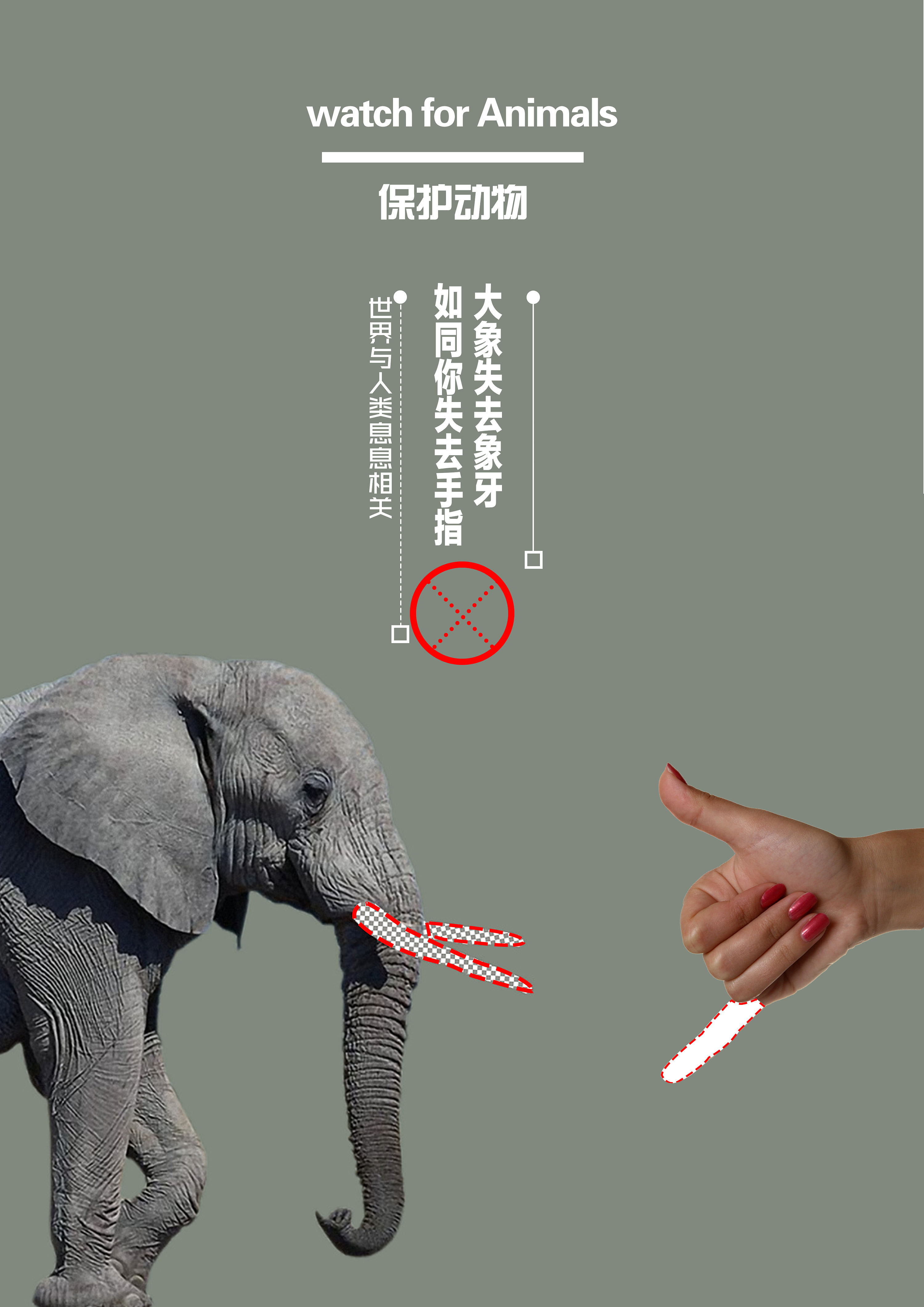 保护动物-创意公益海报设计|平面|海报|KOOOKOI - 原创作品 - 站酷 (ZCOOL)