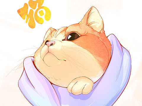 小猫咪