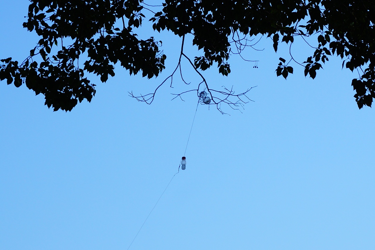 那年闲逛的玄武湖