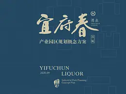 方案